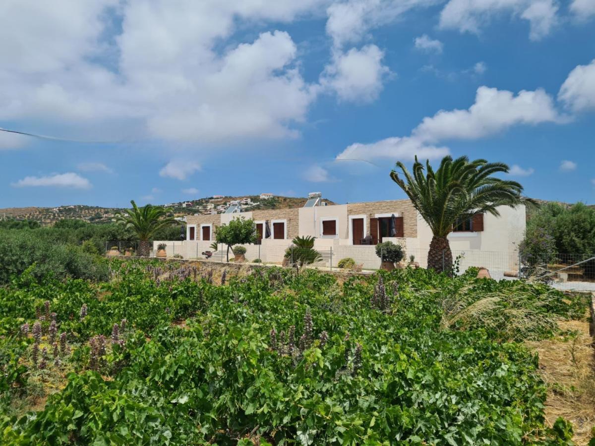 Olivar Suites Palekastro Exterior photo